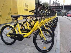 自行车新配件爆料视频播放,自行车新配件爆料视频深度解析 第3张 自行车新配件爆料视频播放,自行车新配件爆料视频深度解析 第3张