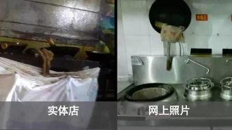 爆料黑心火腿肠视频播放,视频曝光食品安全问题 第2张 爆料黑心火腿肠视频播放,视频曝光食品安全问题 第2张